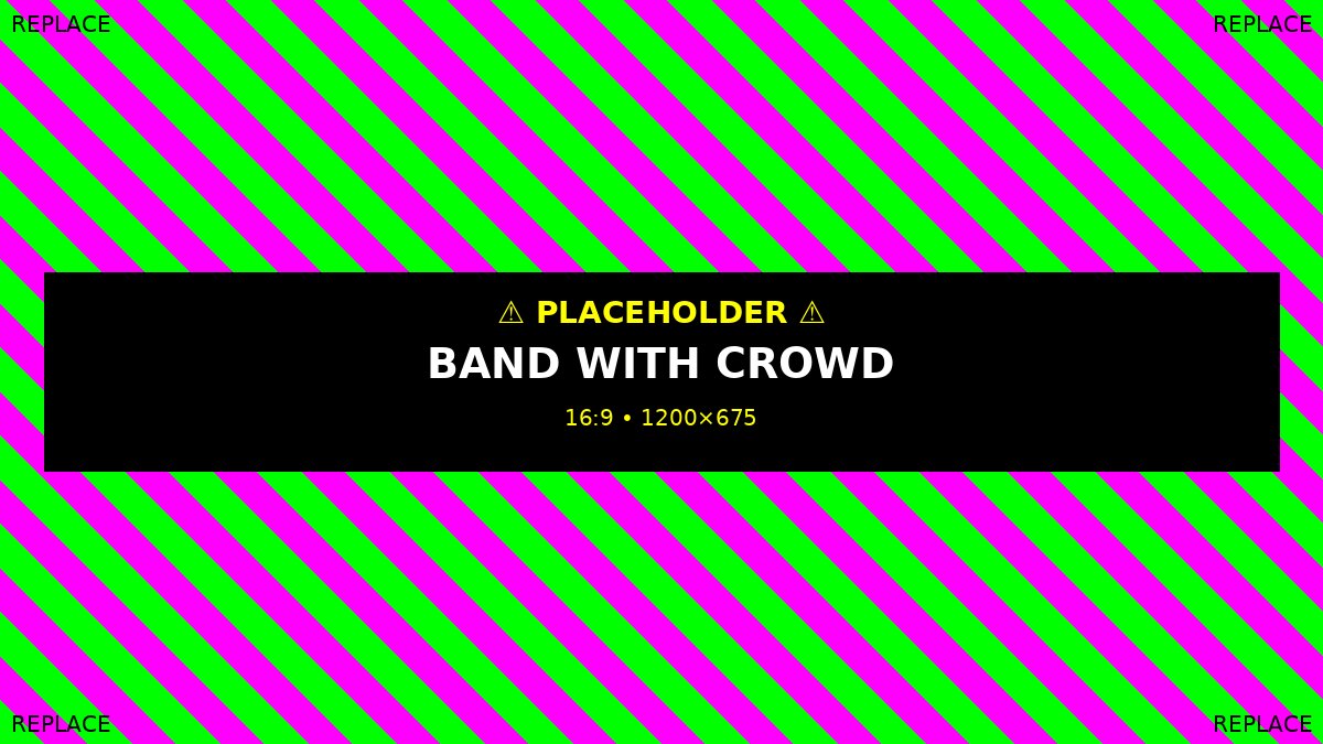 The Brotherhood performing live