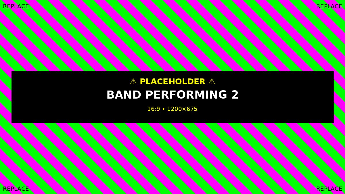 The Brotherhood performing at a wedding