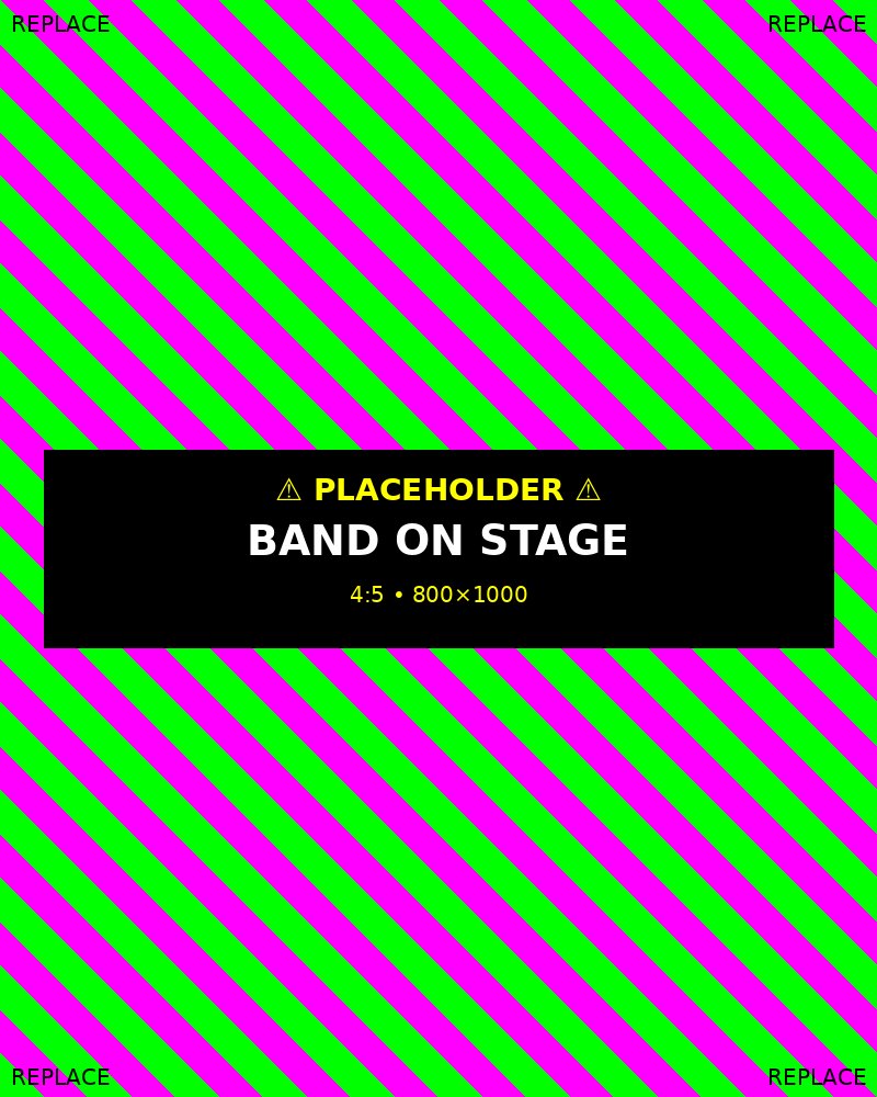 The Brotherhood performing at a corporate event